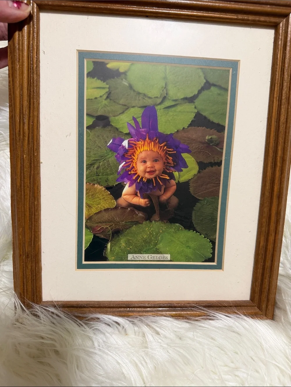 Anne Geddes Framed Floral Baby Art Print - Purple & Green